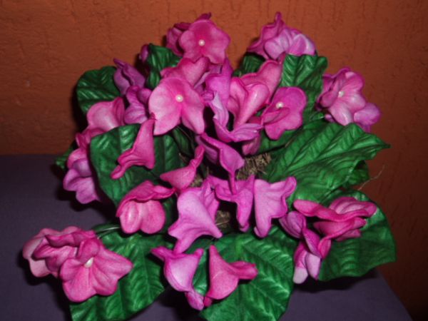 violetas